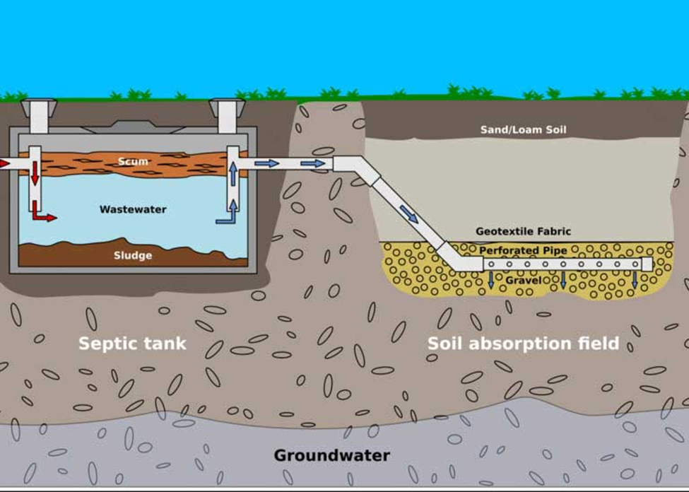 septic tank backup kitchen sink